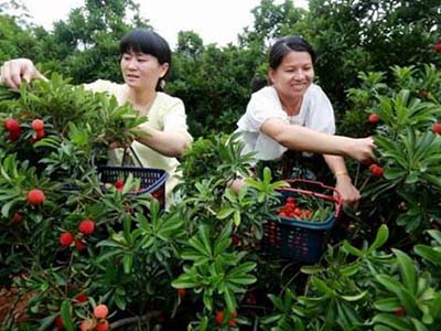 企業簡介